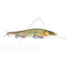 Poisson nageur MEGABASS Vision 110 +1