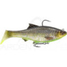 Soft bait SAVAGE GEAR 3D Roach RTF FS 12cm