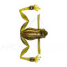 Soft bait HARIMA Namagaeru 3.6cm