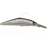 Poisson nageur SMITH D Direct 55
