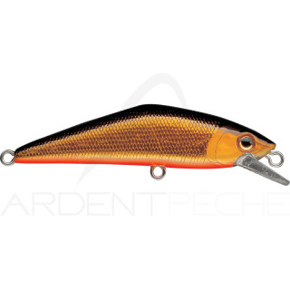 Smith LTD D-Contact 72 – a trout magnet - Ardent Pêche