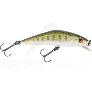 Smith LTD D-Contact 72 – a trout magnet - Ardent Pêche