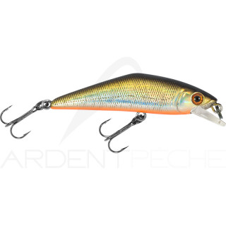 Smith LTD D-Contact 72 – a trout magnet - Ardent Pêche
