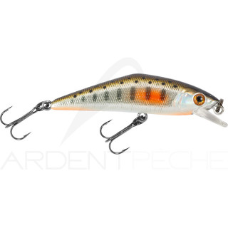 Smith LTD D-Contact 72 – a trout magnet - Ardent Pêche