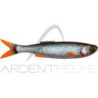 Leurre souple SAVAGE GEAR Craft dying minnow 7.5cm