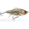 Pesce nuotatore BIWAA Raffal 150