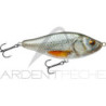 Pesce nageur BIWAA Raffal 130