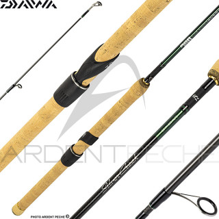 Canna DAIWA Silver Creek vairon manié