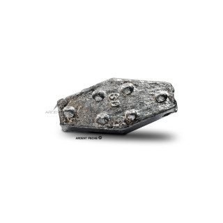 LEMER Hexagonal lead with spikes x1