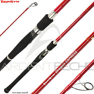 Canna TENRYU Dragon Express