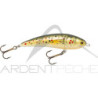 Pesce nageur MICROBAIT Pesce nageur