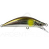 Minnow MAJOR CRAFT Eden 50 H