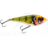 CWC Buster Swim - the benchmark swimbait - Ardent Pêche