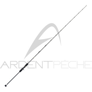 TENRYU Horizon HSL 66 B H Rod