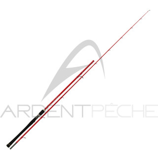 Canna TENRYU Super queen taï