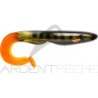 Leurre souple GATOR Catfish 35