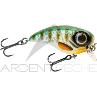 Crankbait SPRO Fat iris 40