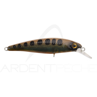 Pesce nageur SPRO Ikiru jerk 65 FS