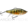 Pesce nageur BIWAA Raffal 130