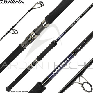 DAIWA Saltiga Casting Spinning Rod