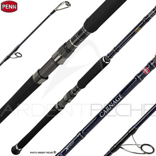 Canne spinning PENN Carnage popping