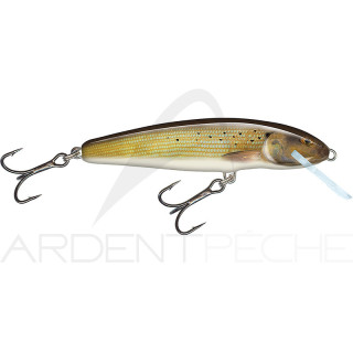 Pesce nuotatore SALMO Minnow 6 S
