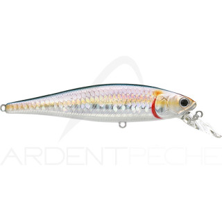Pesce nuotatore LUCKY CRAFT B Freeze Pointer 100 SW