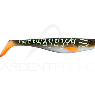 Dexter Shad 175 - lo shad per lucci da record e altri predatori - Ardent Tecniche di pesca