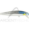 Pesce nuotatore SMITH Lourdish
