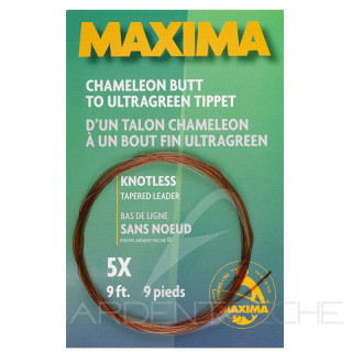 Terminale MAXIMA (2,70m)