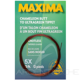 Terminale MAXIMA (3,60m)