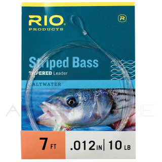 Terminale RIO Striped Bass 7´ (2,10m)