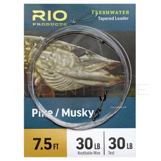 Terminale RIO Pike/Musky 2,30 m