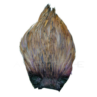 Colli di gallo DEVAUX Top Grade tinto Smoke Grey