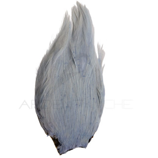 Collo di gallo DEVAUX Top Grade Tinto Grigio chiaro