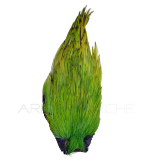 Colli di gallo DEVAUX Top Grade tinto Olive