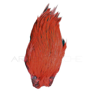 Collo di gallo DEVAUX Top Grade Tinto Rosso