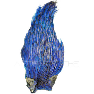 DEVAUX Top Grade Dyed Royal Blue Cock Necks