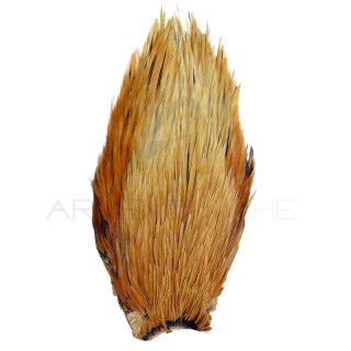 Colli di gallo DEVAUX Top Grade Light ginger