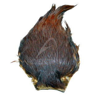 DEVAUX Top Grade Dark Russet Cock Necks