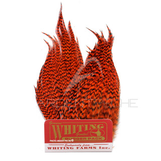 Whiting Bugger Pack Grizzly dyed orange