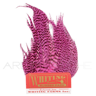 Whiting Bugger Pack Grizzly dyed pink
