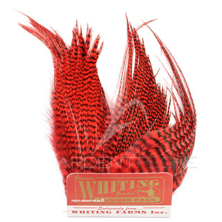 Whiting Bugger Pack Grizzly dyed red