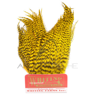 Whiting Bugger Pack Grizzly dyed yellow