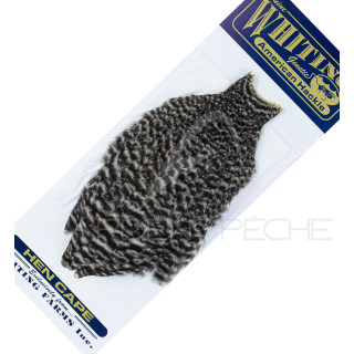 Collo di gallina American Hackle grizzly