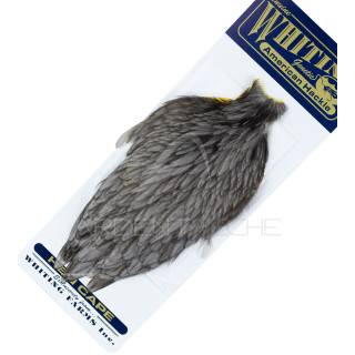 Cou de poule American Hackle gris foncé