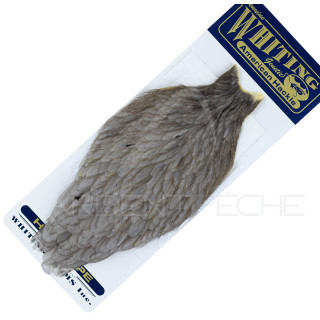 Collo di gallina American Hackle grigio topo