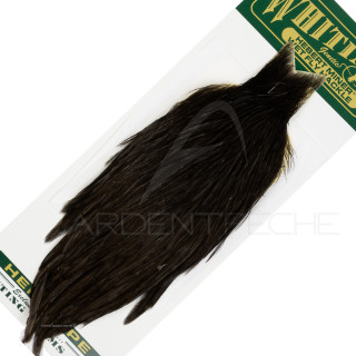 Collo di gallina Hebert nero