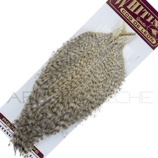Colli pardo Whiting Grizzly pardo