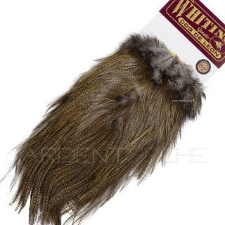 Croupes pardo Whiting Bronze Pardo medio